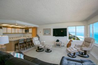 Condominium, 727 Beachfront drive, Solana Beach, CA 92075 - 10