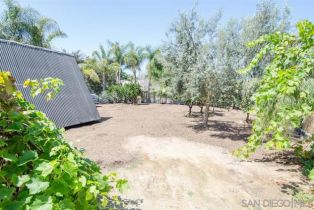 Single Family Residence, 1060 URANIA avenue, Encinitas, CA 92024 - 18