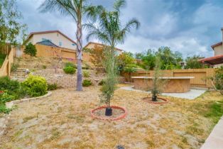 Single Family Residence, 1241 Sand Drift pt, San Diego, CA 92154 - 22