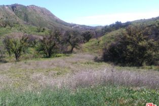 Land, 2517  Encinal Canyon RD, Malibu, CA  Malibu, CA 90265