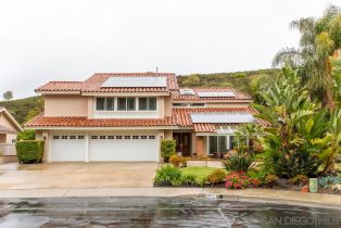 Single Family Residence, 9717 Caminito Suelto, San Diego, CA 92131 - 35