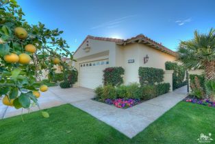 Single Family Residence, 79918 Mission dr, La Quinta, CA 92253 - 40