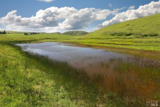 Single Family Residence,  Valley Ford-Franklin School road, Petaluma, CA 94953 - 19