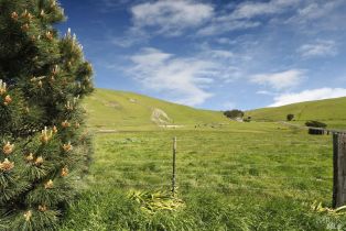 Single Family Residence,  Valley Ford-Franklin School road, Petaluma, CA 94953 - 23