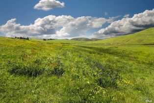 Single Family Residence,  Valley Ford-Franklin School road, Petaluma, CA 94953 - 20