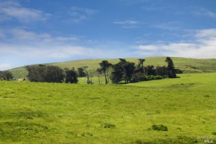 Single Family Residence,  Valley Ford-Franklin School road, Petaluma, CA 94953 - 10