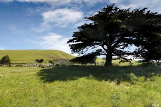 Single Family Residence,  Valley Ford-Franklin School road, Petaluma, CA 94953 - 22