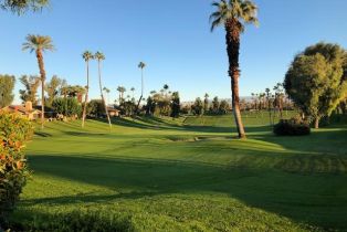 Condominium, 138 Gran, Palm Desert, CA 92260 - 2