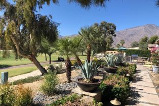 Single Family Residence, 61016 Desert Rose dr, La Quinta, CA 92253 - 14