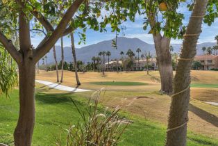 Condominium, 55387 Winged Foot, La Quinta, CA 92253 - 21