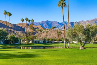 Condominium, 143 Desert Lakes dr, Palm Springs, CA 92264 - 53