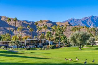 Condominium, 143 Desert Lakes dr, Palm Springs, CA 92264 - 87