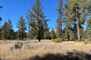 Land, Pyramid Peak Road, Mountain Center, CA  Mountain Center, CA 92561