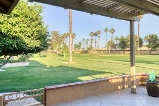 Condominium, 77897 Woodhaven dr, Palm Desert, CA 92211 - 47