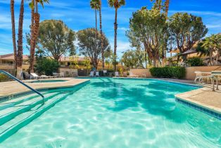 Condominium, 675 Los Felices cir, Palm Springs, CA 92262 - 9