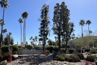 Condominium, 5301 Waverly, Palm Springs, CA 92264 - 11