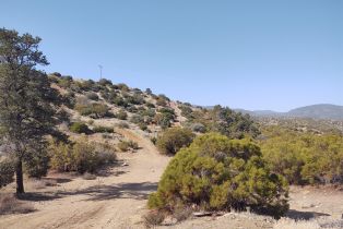 , 0 Palm Canyon dr, Mountain Center, CA 92561 - 2