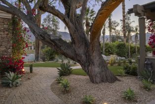 Single Family Residence, 12 Clancy ln, Rancho Mirage, CA 92270 - 43