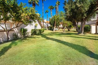 Condominium, 706 Vista Lago cir, Palm Desert, CA 92211 - 38