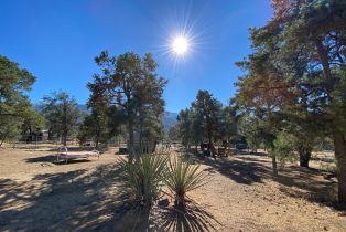 , 62950 Pinyon dr, Mountain Center, CA 92561 - 65