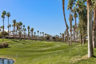 Condominium, 38041 Crocus ln, Palm Desert, CA 92211 - 43