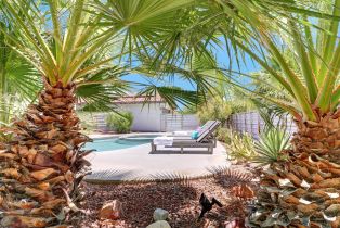 Single Family Residence, 2420 Wayne rd, Palm Springs, CA 92262 - 43