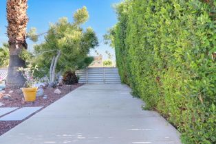 Single Family Residence, 2420 Wayne rd, Palm Springs, CA 92262 - 45