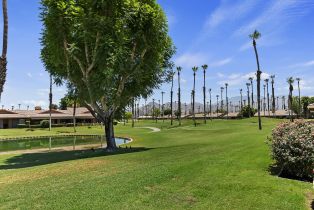 Condominium, 30 Maximo way, Palm Desert, CA 92260 - 35