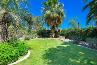 Single Family Residence, 61730 Mesa ct, La Quinta, CA 92253 - 46