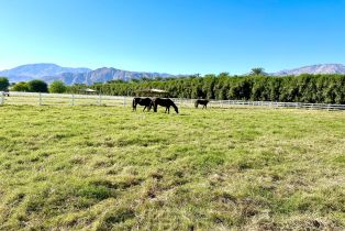 Single Family Residence, 84051 61st ave, Thermal, CA 92274 - 78