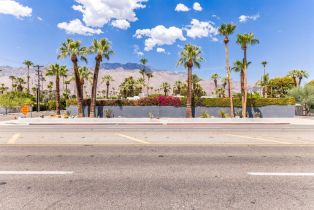 Single Family Residence, 301 Farrell dr, Palm Springs, CA 92262 - 15