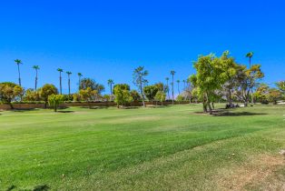 Condominium, 77827 Woodhaven dr, Palm Desert, CA 92211 - 27