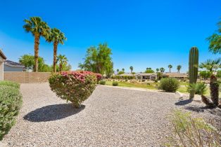 Single Family Residence, 81725 Ulrich dr, La Quinta, CA 92253 - 26