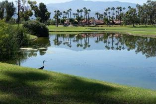 Condominium, 551 Desert Falls dr, Palm Desert, CA 92211 - 13