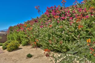 Single Family Residence, 44795 Via Alondra, La Quinta, CA 92253 - 41