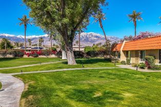 Condominium, 69534 Jardin ct, Rancho Mirage, CA 92270 - 25