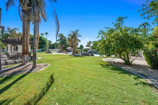 Single Family Residence, 81935 Mountain View ln, La Quinta, CA 92253 - 80