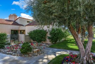 Condominium, 382 Wimbledon dr, Rancho Mirage, CA 92270 - 2