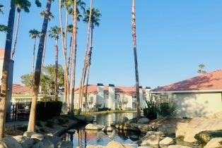 Residential Lease, 43376 Cook Street, Palm Desert, CA  Palm Desert, CA 92211