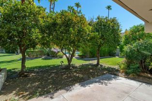 Condominium, 3572 Bogert trl, Palm Springs, CA 92264 - 29