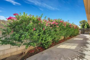 Single Family Residence, 78354 Calico Glen dr, Bermuda Dunes, CA 92203 - 37