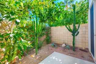 Condominium, 906 Oceo cir, Palm Springs, CA 92264 - 25