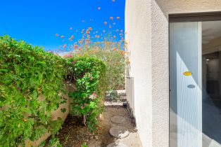 Condominium, 255 Avenida Caballeros, Palm Springs, CA 92262 - 28