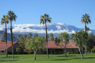 Single Family Residence, 39 Camino Arroyo pl, Palm Desert, CA 92260 - 44