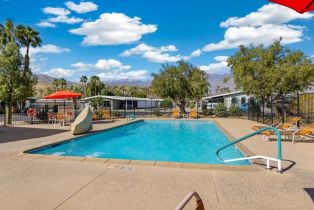 , 335 San Domingo dr, Palm Springs, CA 92264 - 28