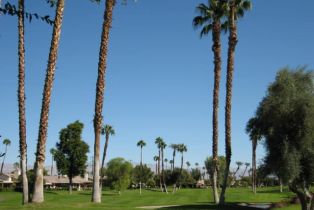 Condominium, 144 Las Lomas, Palm Desert, CA 92260 - 2