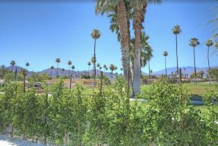 Condominium, 73475 Ironwood st, Palm Desert, CA 92260 - 19