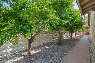 Single Family Residence, 2996 Alta Loma dr, Palm Springs, CA 92264 - 60