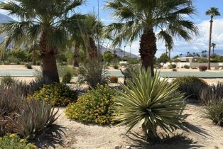 Condominium, 3079 Sunflower cir, Palm Springs, CA 92262 - 49