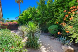 Single Family Residence, 61165 Living Stone dr, La Quinta, CA 92253 - 32